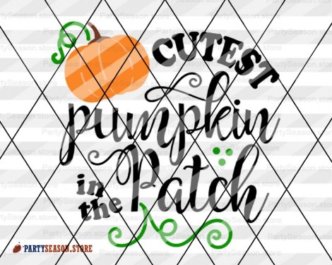 Cutest pumpkin in the patch party season store 3